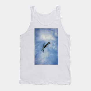 Freedom of the Skies Tank Top